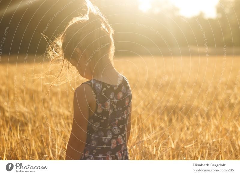 Little girl standing in a wheat field, with the sun setting, looking down Toddler Child Sunbeam Wheat Wheatfield Sunset Summer Dream sad lowered view Longing