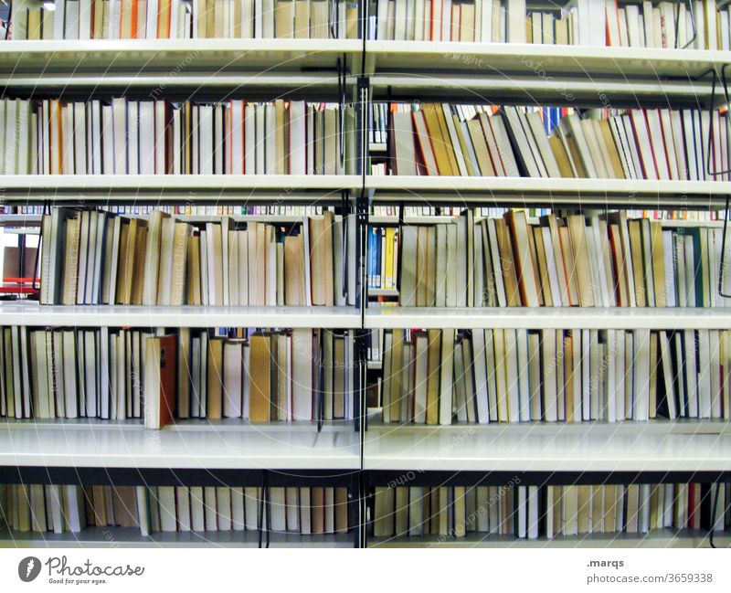 bookshelf Library Education Academic studies Study Book Adult Education Many Arrangement Examinations and Tests Reading university Shelves School Print media