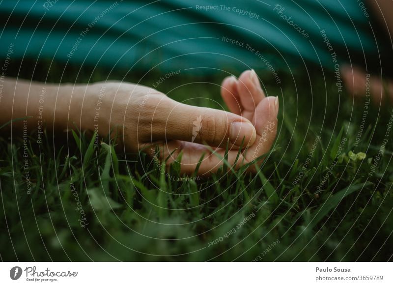 Close up hand on the grass Hand body part Close-up hands Fingers Human being Exterior shot Conceptual design Skin Minimalistic background Gesture people Body