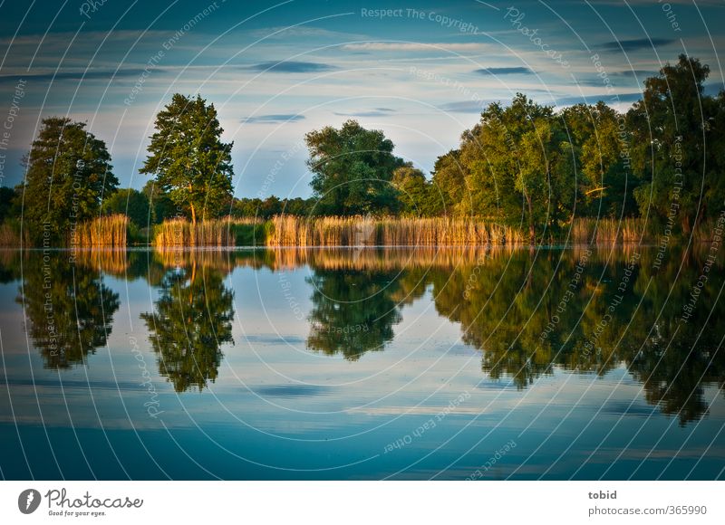 reflections Nature Landscape Water Sunrise Sunset Sunlight Pond Moody Freedom Surface of water Reflection Colour photo Exterior shot Deserted Evening Twilight
