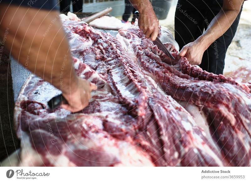 Crop people cutting meat at slaughterhouse production farm butcher prepare industry tradition pork fresh raw coworker countryside food organic process