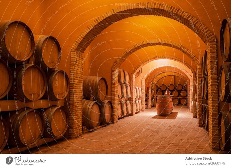 Wooden barrels with wine in modern winery spacious storage grapery interior production viticulture cozy small business design table wooden alcohol drink
