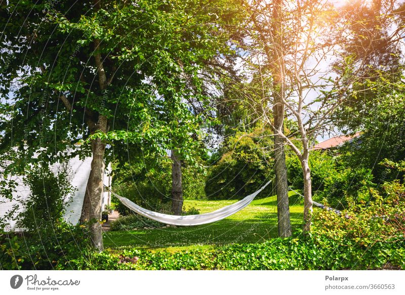 White hammock in a green garden foliage hanging nobody simple apple freedom backyard spring carefree white resort sunlight idyllic paradise season life leisure