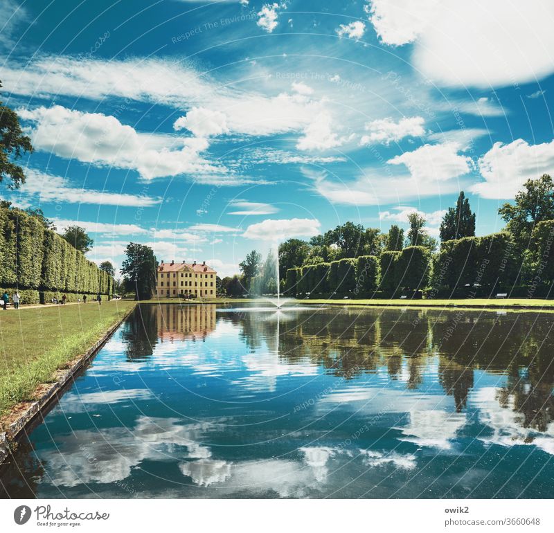 Where the princes went swimming Water Landscape Idyll Long shot Environment tree Park Nature Contrast Day Light Deserted Colour photo Exterior shot Baroque