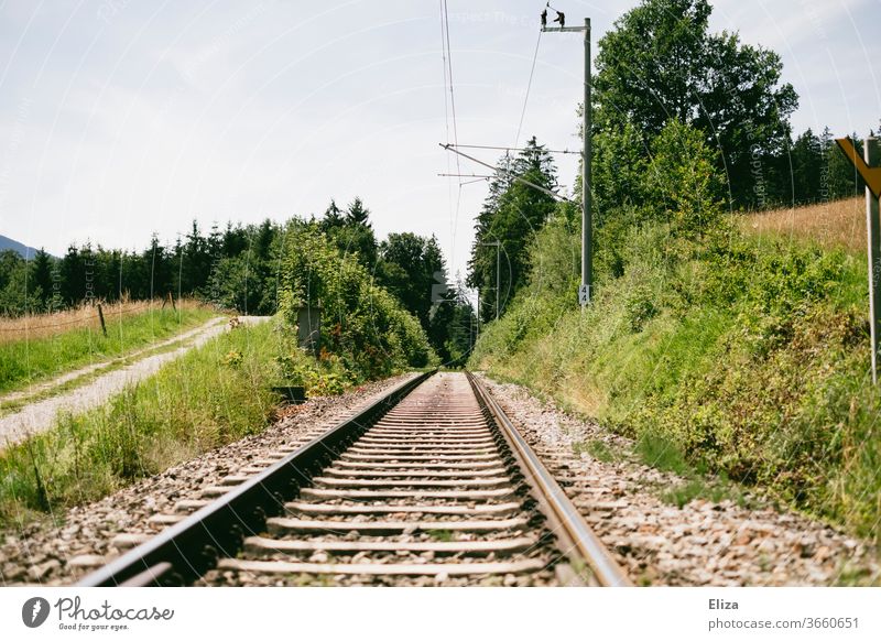 Train tracks through nature Train rails railway tracks Rail traffic Nature Railroad tracks Rail transport Vacation & Travel Track Traffic infrastructure off