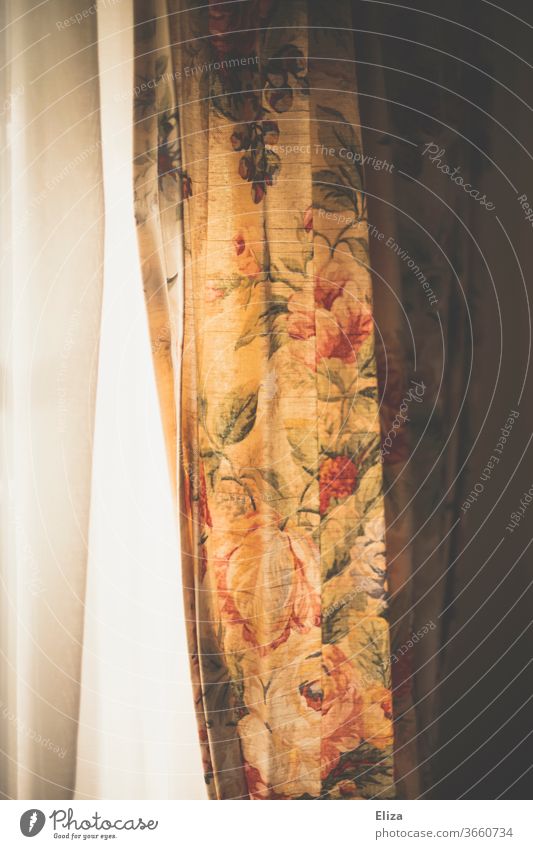 Flowered curtains in sunlight drapes Floral Sunlight Window detail Pattern flowers Flowery pattern floral Decoration romantic Light