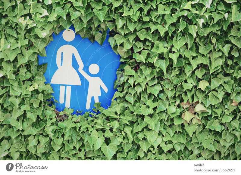 Mother-child circle Hedge leaves flora tight Road sign off Footpath pedestrian pedestrian shades traffic-calmed covert become overgrown Figures mother and child