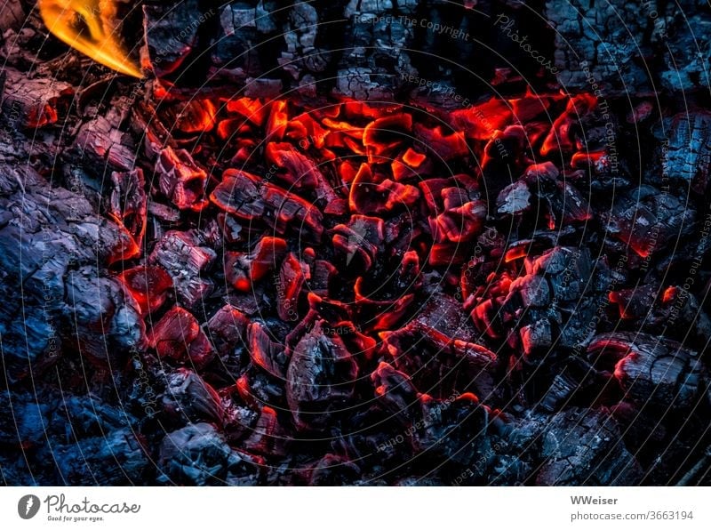 The hot coals are still glowing Fire Embers Flame Glow Hot Coal Burn Warmth ardor fire bowl Fireplace Incandescent colour contrast Red Blue Black Close-up
