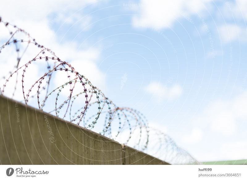 Barbed wire on wall with blue sky and small clouds Barbed wire fence Barbed wire fence" NATO wire Penitentiary Metal Fence Protection Thorny War Threat Mistrust