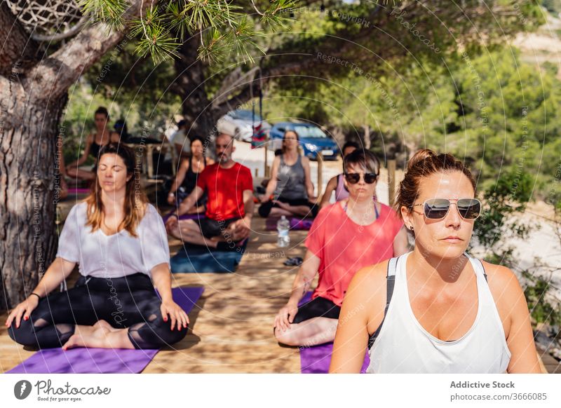 Diverse people during yoga session in garden meditate padmasana lotus pose summer park healthy wellness lesson practice exercise harmony relax group diverse