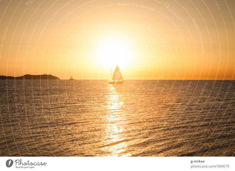 golden sunset Summer Summer vacation Sun Ocean Sailing Nature Water Mediterranean sea Navigation Sailboat Sailing ship Movement Sports Free Infinity Natural