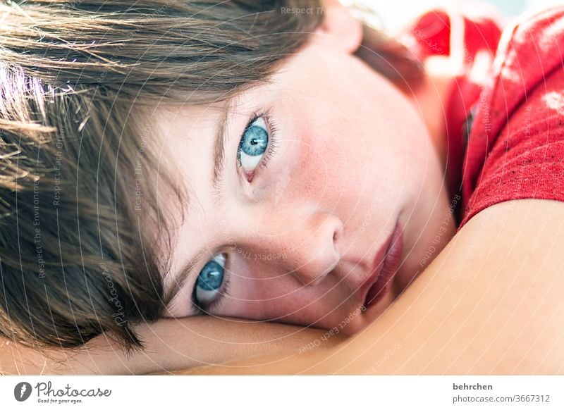 . Dream look at blue eyes Looking Contrast Son Cool Brash Light Child Sunlight portrait Close-up Cool (slang) Day Face Infancy Colour photo Family Boy (child)