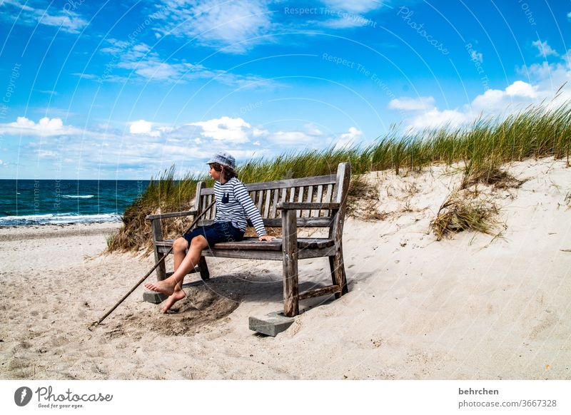 Neptune Happiness Playing Contentment fortunate Happy Baltic coast Tourism Relaxation fischland-darß Germany Mecklenburg-Western Pomerania Summer muck about