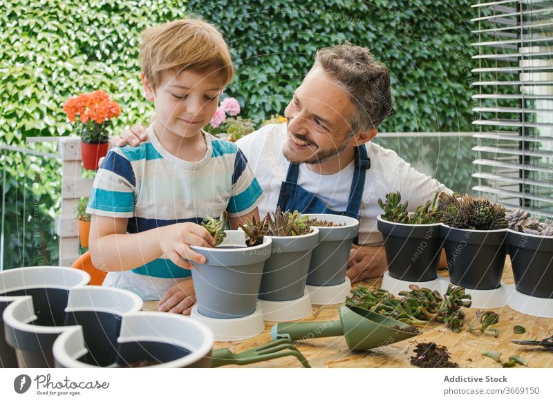 Crop gardener helping son pouring soil into pot with cacti father trowel together gardening cultivate grower tool hobby plant fork apron horticulture