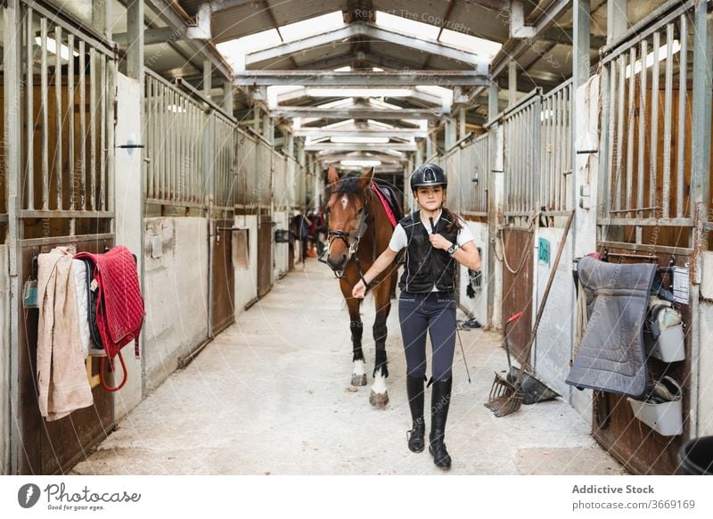 Female jockey with horse in stable equestrian lead woman chestnut horsewoman obedient animal female dressage horseback training rider reins bridle equine owner
