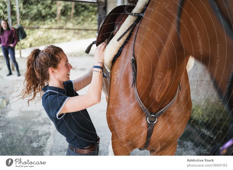 Young woman with horse in stable equestrian saddle prepare animal dressage jockey rider female put on reins equipment equine young concentrate serious chestnut