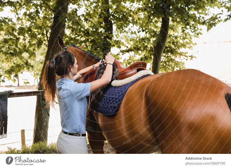 Busy female jockey with horse on ranch equestrian woman saddle animal put on horsewoman equipment prepare tool equine young busy serious concentrate rider owner