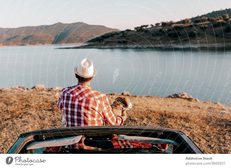 Anonymous tourist with Hovawart enjoying nature sitting on car in sunlight dog admire river mountain vacation beauty idyllic contemplate highland travel