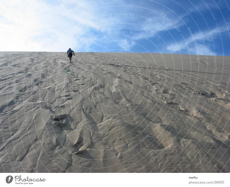 skyrocketers Physics Horizon Light Europe Sand Beach dune Warmth Human being Upward skystormer