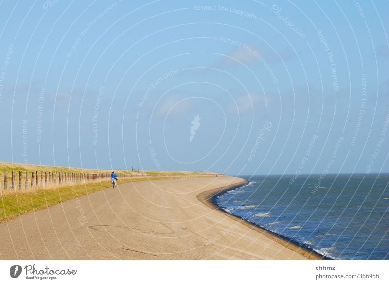 headwind Life Cycling Vacation & Travel Tourism Trip Summer Ocean Island Netherlands 1 Human being Landscape Water Horizon Coast North Sea Bicycle Movement