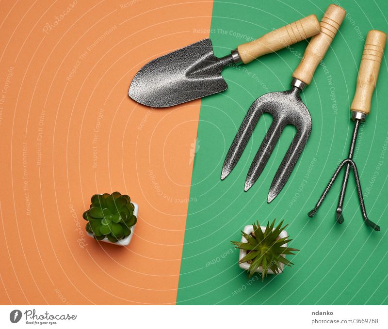 garden set of shovels, rakes, pitchforks on a green-orange background, top view agriculture bed black botany brown clean clipping closeup cultivate dig