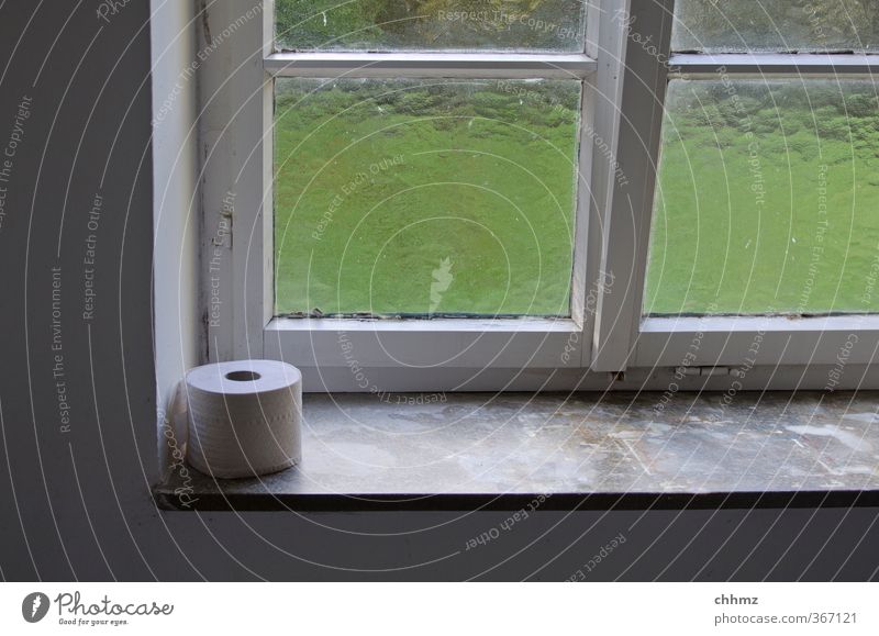 emergency food Window Window board Lattice window Sit Toilet paper Toilet paper holder Pane Relief Frosted glass Public Urgent Clean Light Look out Colour photo