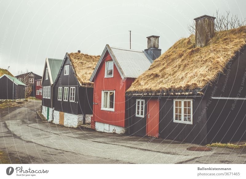 Iceland Inventory 38 Reet roof Thatched roof house Scb Swedish house Housefront hazy hygge Autumnal
