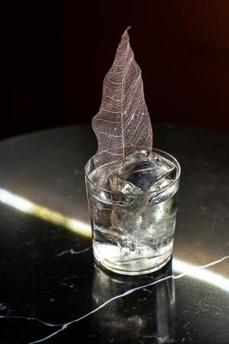 Alcohol drink with decorative leaf cocktail alcohol ice bar table cold cube beverage refreshment cup glass party booze transparent portion serve crystal chill
