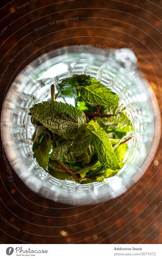 Mint leaves in glass jar cup mint leaf fresh table bar ingredient heap natural organic pile composition plant flavor raw bunch ripe product flora fragile