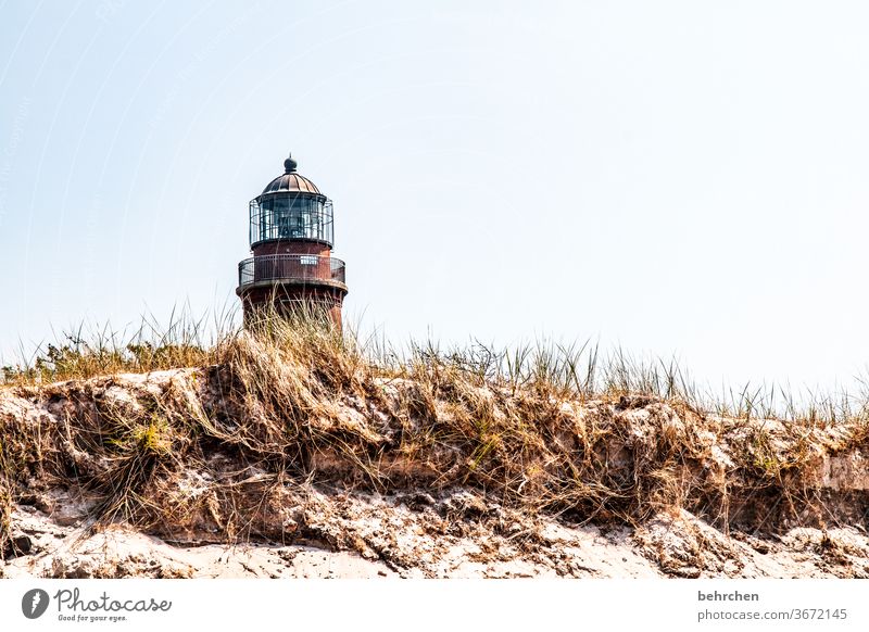 architecture and nature | love of the lighthouse Beach Ocean duene Darss Baltic Sea Exterior shot Sky Nature Landscape coast Colour photo Vacation & Travel