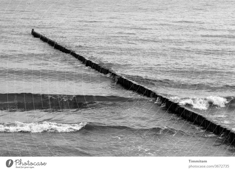 Buhne and waves Baltic Sea Waves Break water Ocean Water Vacation & Travel coast Baltic coast groynes Nature Deserted Black & white photo