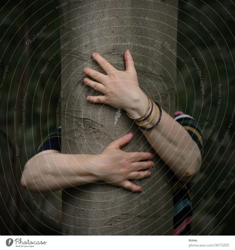 Kissing a tree | printed product Embrace Force Forest hands sleeves Woman Love devotion wristbands beeches Tree trunk humility Nature Meditation Inspiration