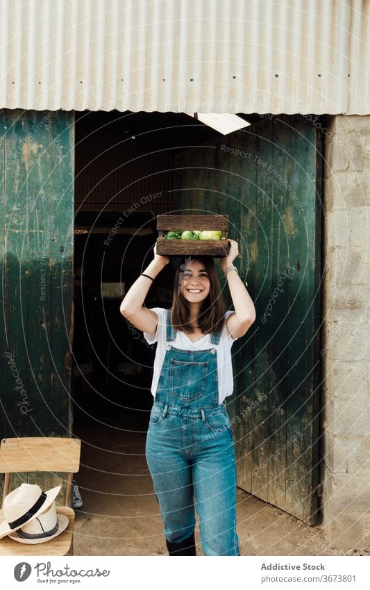 Cheerful female gardener carrying box with different tomatoes in greenhouse horticulturist assorted tree horticulture overgrown cheerful positive idyllic