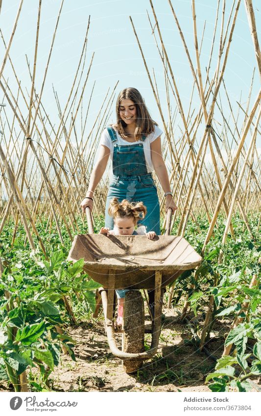 Happy girl and mother walking near wheelbarrow in garden having fun tomato bush horticulture stick countryside blue sky childcare happy carefree entertain