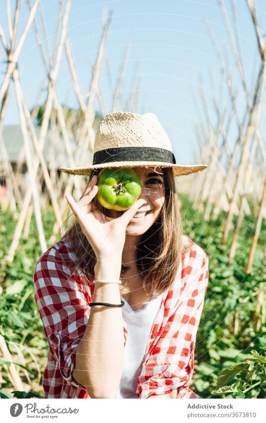 Happy woman sitting with green tomato near shrubs in summer horticulture glad fruit idyllic straw hat countryside blue sky wooden stick horticulturist bush