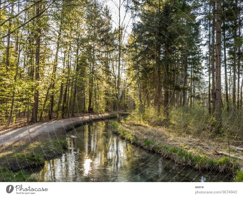 View over a clear stream into the forest Morning mood calm copy space countryside creek drinking water environment landscape morning morning sun nature