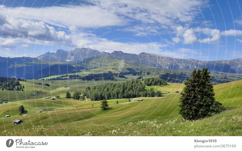 Hiking on the Seiser Alm Nature vacation green Landscape Dolomites Exterior shot Sun Relaxation