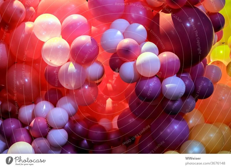 A large bunch of balloons in berry tones Many variegated colors colored Berry tones at the same time Party celebration Decoration Feasts & Celebrations Balloon