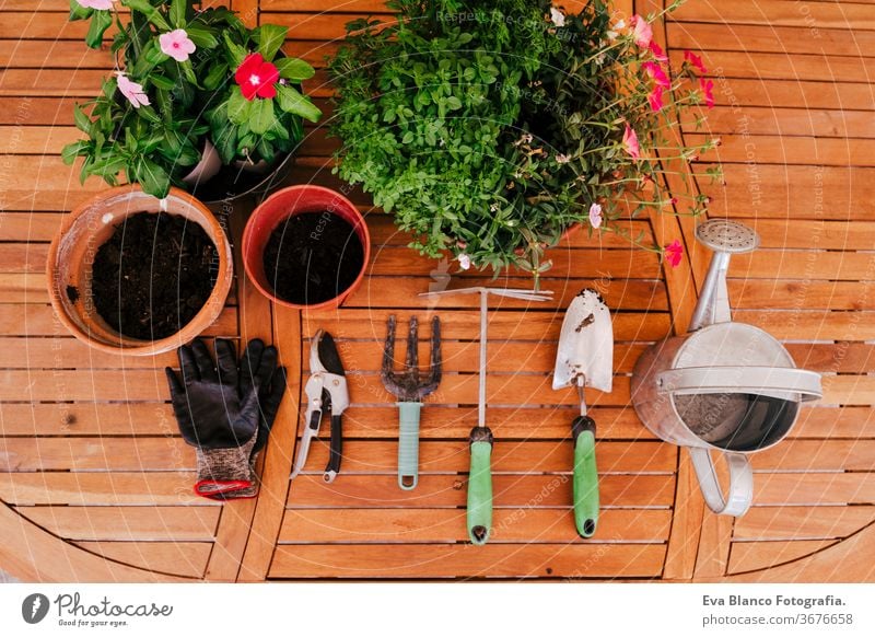 top view of gardening tools on a wooden table nobody shovel plants gloves eco bio dirtied care lawn artificial landscaping summer farming cultivate object