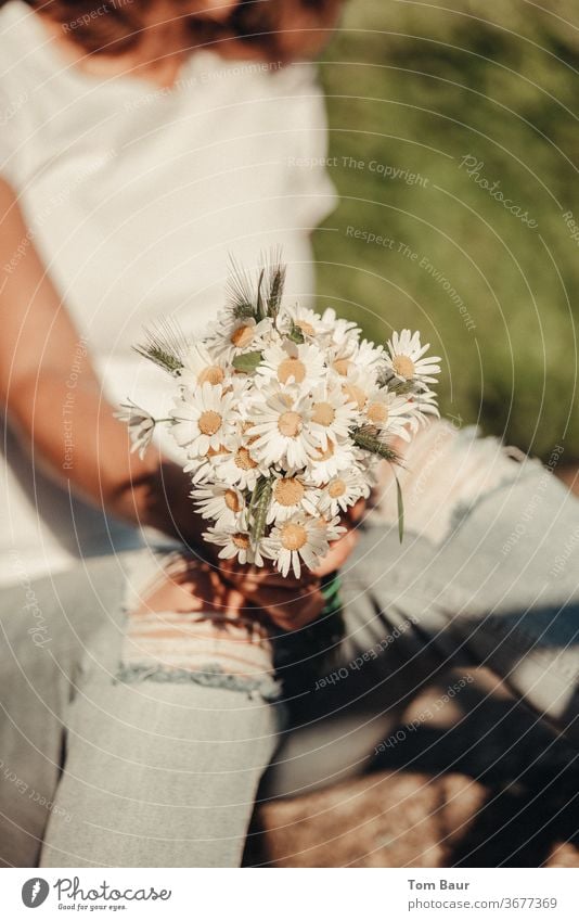 Bouquet of daisies held by woman with torn jeans flowers marguerites Nature bleed White spring Daisy natural green already Summer Fresh Yellow