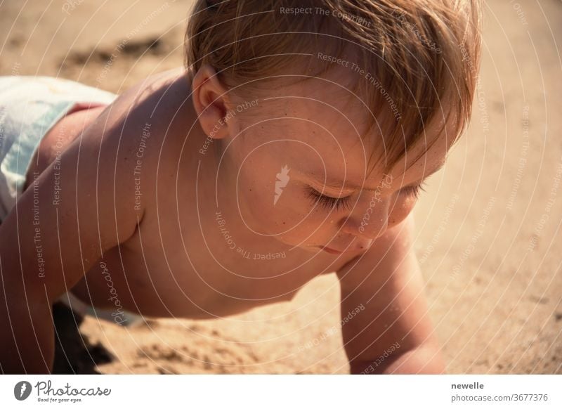 Baby boy discover sand at tropical beach close up. Curious toddler portrait who examining sand beach at summertime. Active caucasian little kid. Curiosity, concentration and discovering at holidays.