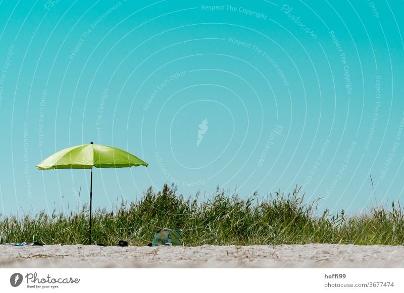 Green parasol on the beach in the dunes Sunshade Blue sky Cloudless sky minimalism Minimalistic Summer Beach Vacation & Travel Sunbathing Coast Relaxation