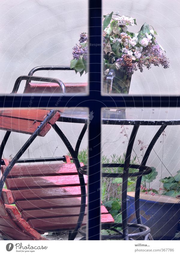 Prague spring in the backyard Spring Lilac lilac bouquet Bouquet Loneliness Transience Backyard Garden Garden table Garden chair Window transom and mullion Limp