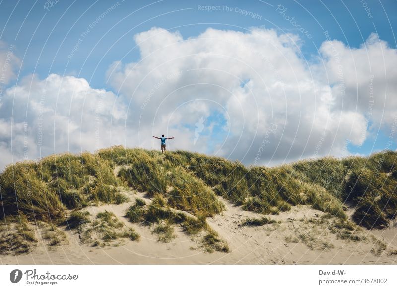 Freedom in the dunes tranquillity dune landscape North Sea Vacation & Travel Relaxation Man Joie de vivre (Vitality) Baltic Sea