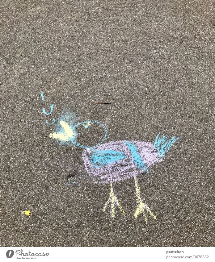 A chirping little bird painted with street chalk. Child's play Drawing Children's drawing Children's game colors Creativity Infancy Multicoloured Joy