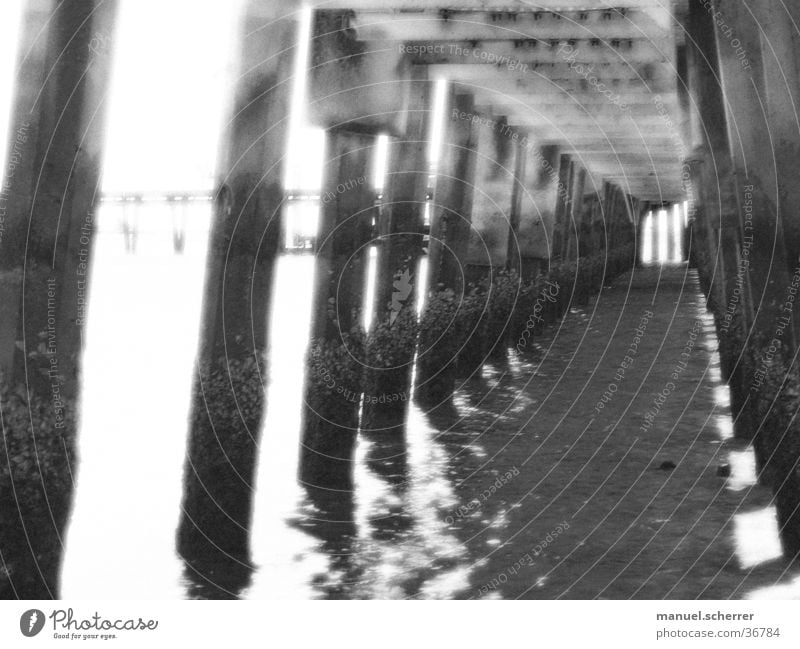 cage Cage Ocean Jetty Captured Infinity Black White Bridge Black & white photo Water Penitentiary Rod Corridor