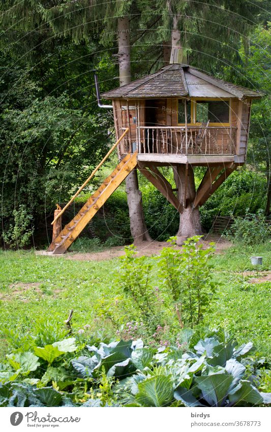 large ,cosy, solid tree house made of wood in the garden Tree house Wooden house Garden dwell live alternatively Idyll Freedom out Architecture ecologic Veranda