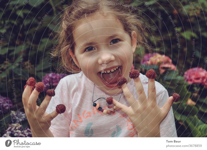 Girl eats raspberries off her fingers girl Brash Eating Fingers Raspberry Laughter Grinning issts Child Joy portrait Face Sweet Cute by hand Human being already