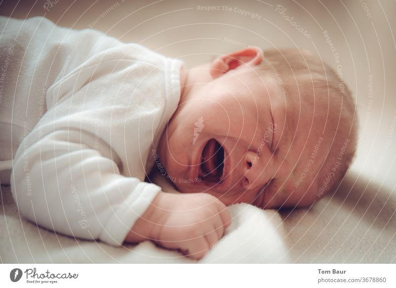 I'm hungry Baby Cry Scream whine hunger White Neutral Background neonatal photography newborn newborn baby Appease new life Lie Blanket Ground Love already