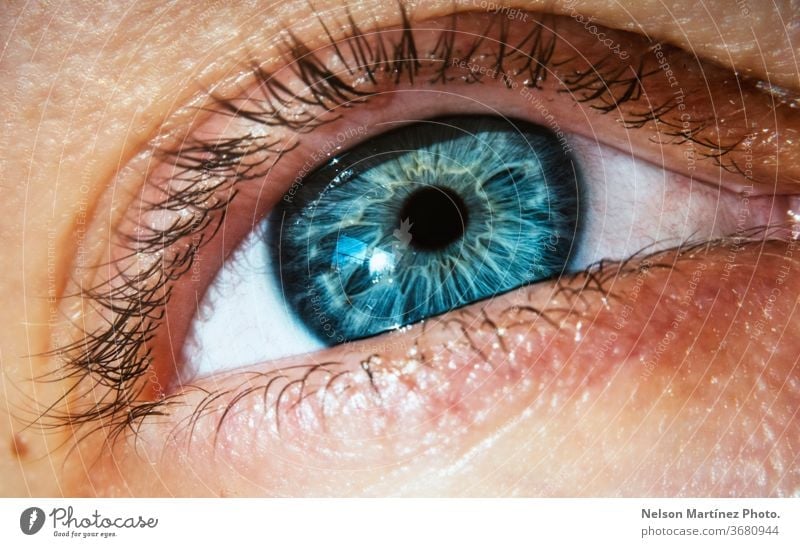 Close-up of a blue eye of a caucasian woman. A closeup shot of the eye of a person with the mesmerizing shades of blue. view optical girl look skin human iris